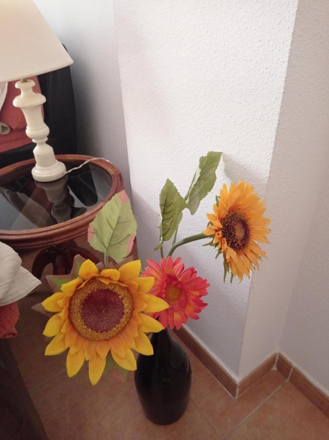 Apartament Piso Isla Cristina Zewnętrze zdjęcie